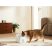 Xiaomi BHR9486EU Smart Pet Fountain 2 EU kisállat itatókút